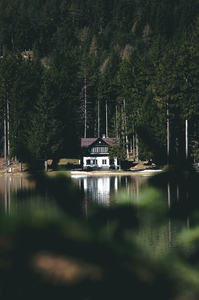 白色和棕色房子湖附近被绿树包围在白天
